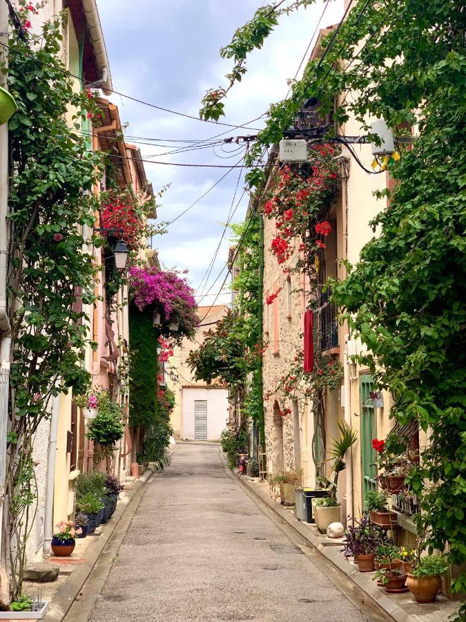 Maison Historique Rue Vermeille Argeles Sur Mer Eksteriør billede