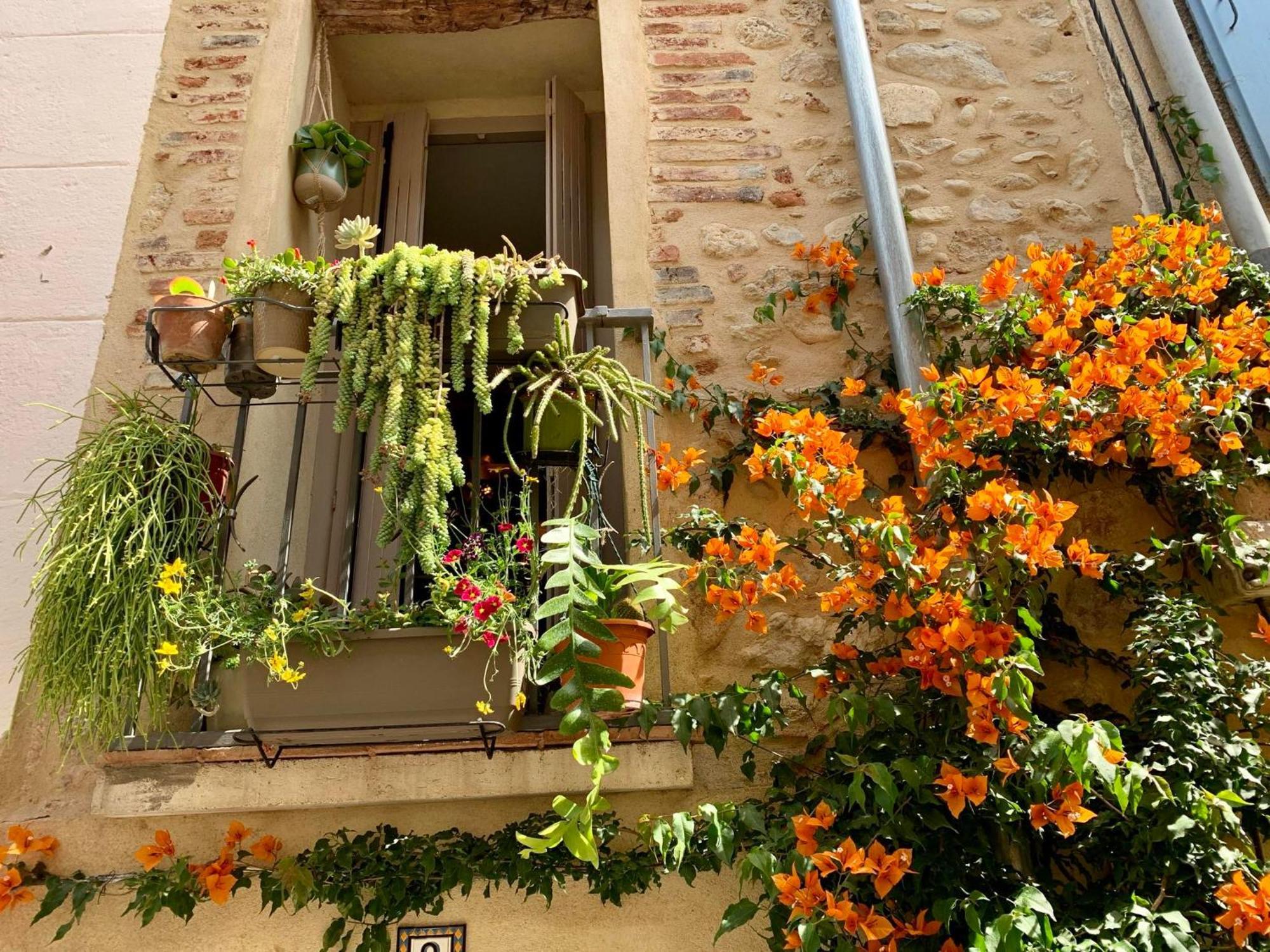 Maison Historique Rue Vermeille Argeles Sur Mer Eksteriør billede